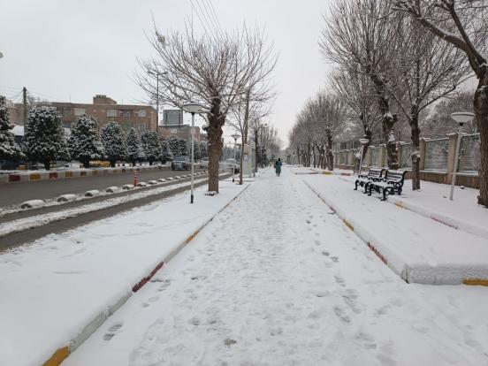 بارش برف در شهرستان پیرانشهر