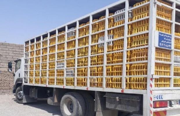 مدیرکل دفتر هماهنگی امور اقتصادی استانداری ایلام از آغاز اجرای عملیات گسترده نظارت بر زنجیره تأمین مرغ در استان خبر داد و گفت که در جریان این برنامه، بیش از ۱۳ تن مرغ زنده هنگام خروج غیرمجاز از استان شناسایی و توقیف شد. 