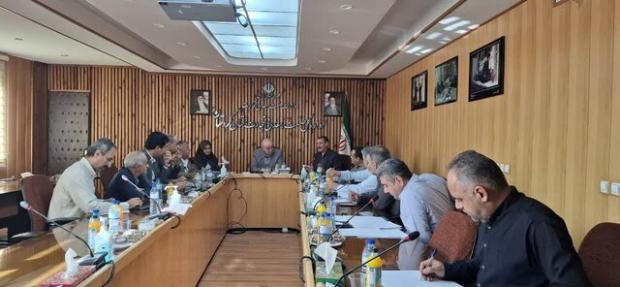 نظارت گسترده بر بازار کردستان/تأمین نان شهروندان بدون مشکل انجام می شود