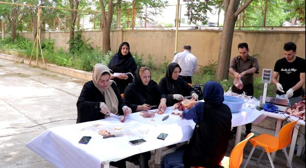 تجلی مهر الهی در بوکان؛ دست‌های سخاوت در کنار دل‌های نیازمند