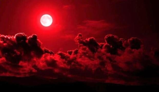 بە ئامادەبوونی کۆمەڵێک لە بەرپرسانی شارەوانی و شۆرای شار، پارکێکی یەک هێکتار لە شارۆچکەی 