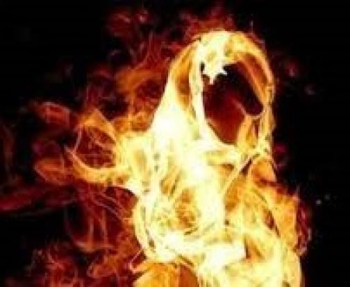 کوشتن بە بیانووی پاککردنەوە؛ ئەوەی نادۆزرێتەوە ئارەزووە!/ شه فیع بەهرامیان