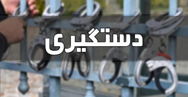 دستگیری سارق حرفه‌ای خانه باغ‌ها در مراغه