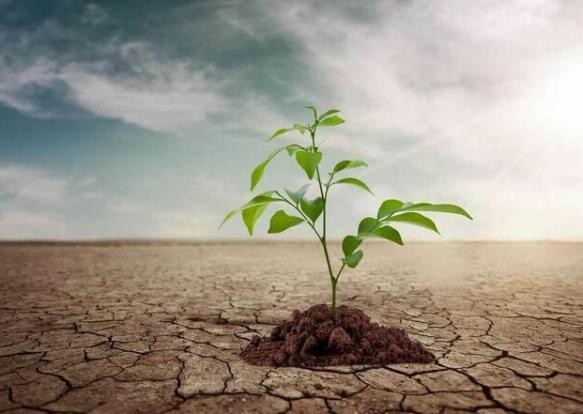 اهدای ۲۳ سری جهیزیه به نوعروسان کم برخوردار سلماس