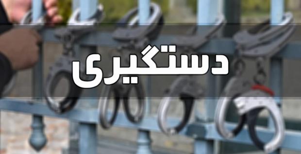 دستگیری سارقان حرفه ای در مراغه