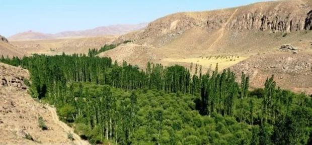  ثبت دو اثر بخش کوهسار سلماس در فهرست اثار ملی کشور