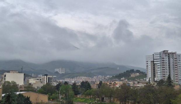 بارش‌های خوب بهاری و بارندگی مناسب سال آبی جاری در کردستان، نوید سالی پرآب و البته پررونق را برای بخش کشاورزی استان می‌دهد. 