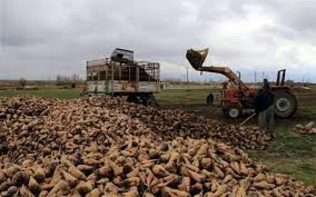 مدیر تعاون روستایی سازمان جهاد کشاورزی آذربایجان غربی گفت: میزان خرید تضمینی گندم ۳برابر شده است. 