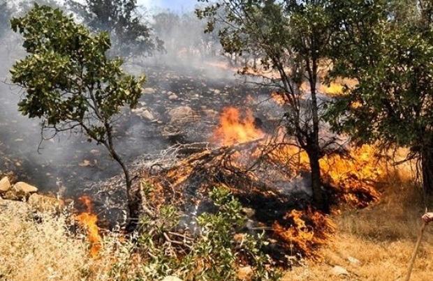 بارش‌های مناسب بهاری فصل حریق در منابع طبیعی کرمانشاه را به تاخیر انداخته است